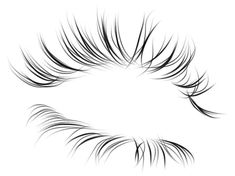 an eye with long lashes on a white background