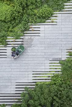 an aerial view of a skateboarder riding down a path in the middle of trees