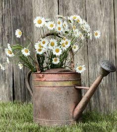 a watering can with daisies in it