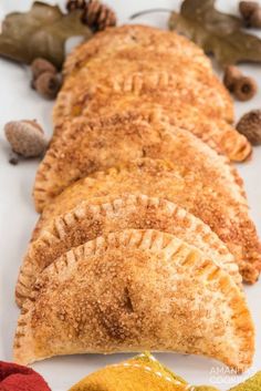 several different types of pies on a white surface with pine cones and leaves around them