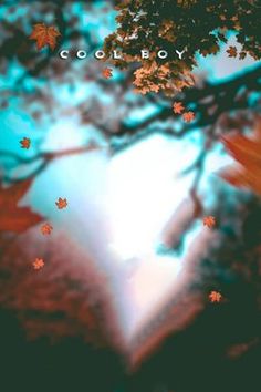 a heart shaped tree with leaves floating in the air and text cool boy above it