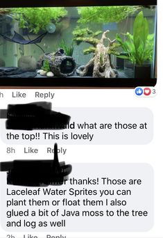 two screenshots showing the same text messages in front of an aquarium with fish and plants