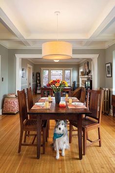 a dog is standing at the table with food on it