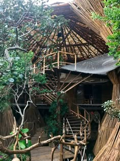 a bamboo house with stairs and trees in the front yard, surrounded by greenery