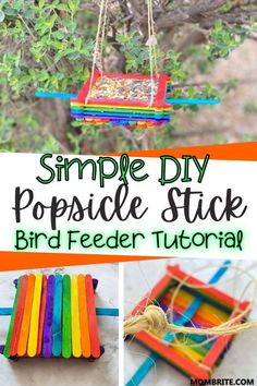 simple diy popsicle stick bird feeder with text overlay that reads, simple diy popsicle stick bird feeder