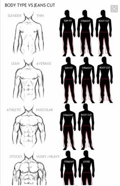 the body type chart shows different types of men's torsos and their corresponding muscles