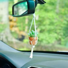 a car dashboard with a hanging potted plant