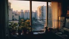 the view from an apartment window shows buildings in the distance, and a potted plant on a table