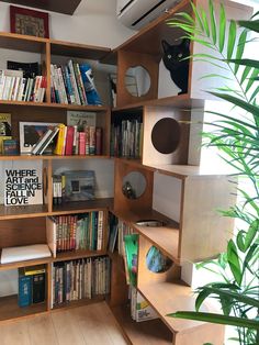 a bookshelf filled with lots of books next to a plant