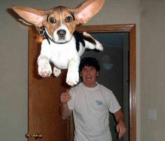 a man standing in front of a door with a dog on top of his head