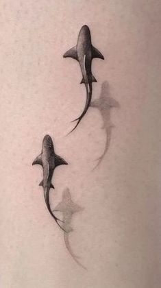 Shark Shadow Drawing, Ladybug Ear Tattoo, Maldives Tattoo Ideas, Maldives Tattoo, Shark Tattoo Drawing, Nuke Tattoo, Bull Shark Tattoo, Nurse Shark Tattoo, Shark Tattoos For Women