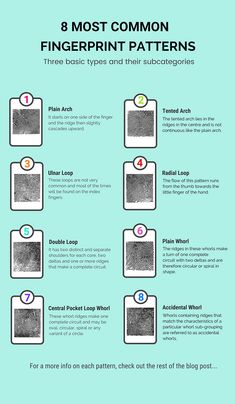 the different types of fingerprints are shown in this info sheet, which shows how they