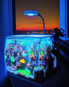 an aquarium is lit up in the dark