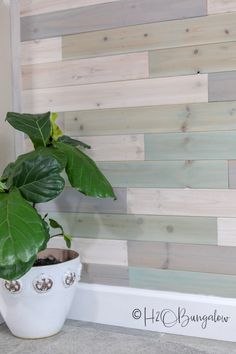 a potted plant sitting on top of a counter next to a wall with wooden planks