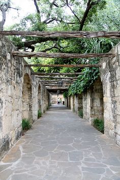 the walkway is lined with stone walls and trees overhanging from each other,