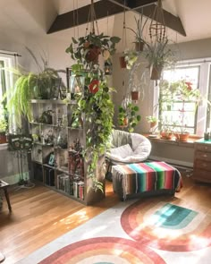 a living room filled with lots of plants next to a window covered in sun light