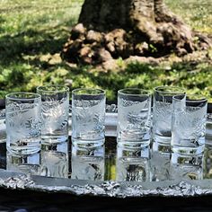 there are many glasses that are on the glass tray in front of a large tree