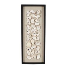 a shadow box with shells in it on a white background and black trim around the edges