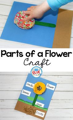 the parts of a flower craft for kids