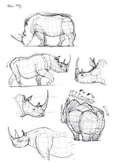 some rhinos are shown in three different positions