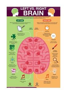 Left Vs. Right Brain - Etsy Left Vs Right Brain, Left And Right Brain, Left Brain Right Brain, Brain Poster, Brain Facts, Brain Anatomy, Medical School Studying, Brain Science