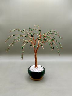 a bonsai tree with green leaves in a black pot filled with white rocks and gravel