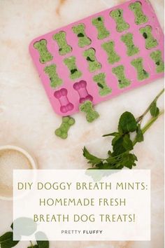 a pink tray with green dog treats on it and the words diy doggy breath mints homemade fresh breath dog treats