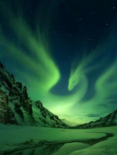 an aurora bore is seen in the night sky above snow covered mountains and green lights