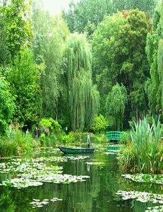 a small boat floating on top of a river surrounded by lush green trees and water lillies