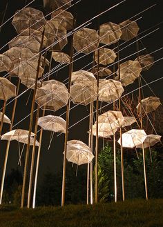 an array of umbrellas are lit up at night in the grass with trees behind them