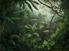 an image of a jungle scene with trees and plants