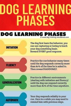 the dog learning phases are shown in this poster