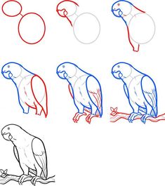 how to draw a parrot sitting on a tree branch step by step drawing for kids