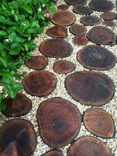 a pathway made out of wood slices and gravel