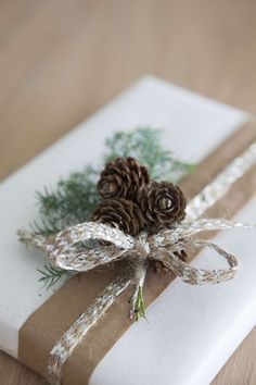 a present wrapped in brown paper with pine cones on top