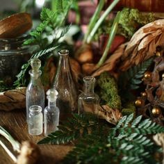 an assortment of glass bottles sitting on top of a table next to plants and pine cones