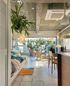 a room with lots of furniture and plants hanging from the ceiling