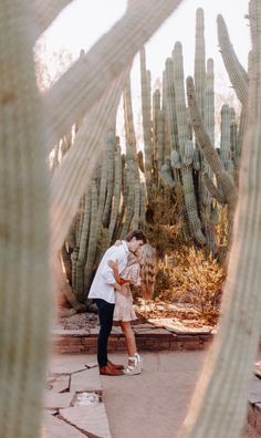 a man and woman kissing in front of cacti