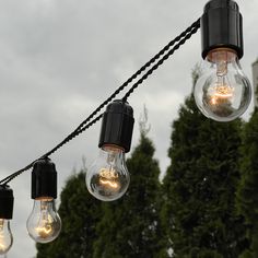 several light bulbs are hanging from a rope in front of some trees and buildings on a cloudy day