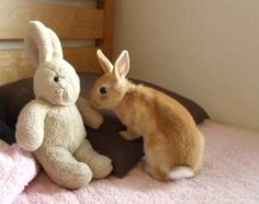 two stuffed animals sitting on top of a bed next to each other in a room