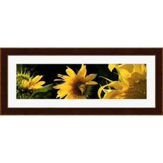 the sunflowers are blooming in this framed photo