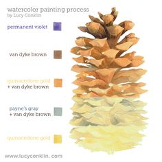 a watercolor painting process with pine cones