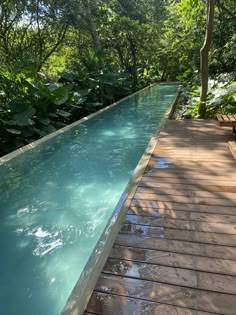 a wooden walkway leading to a long pool in the middle of a lush green forest