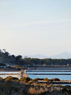 a large body of water surrounded by trees