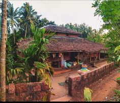 an old house surrounded by palm trees and other greenery on a dirt road in the jungle