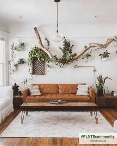 Hanging plants with a long decorative wooden piece Driftwood Hanging, Driftwood Decor, Hanging Plant, House Plants, Living Spaces