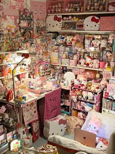 a room filled with lots of different types of toys and stuff on shelves next to each other