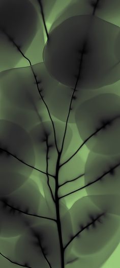 a leaf is shown in black and white on a green background with the shadow of it's leaves