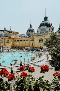 people are swimming in an outdoor pool with red flowers on the ground and yellow buildings