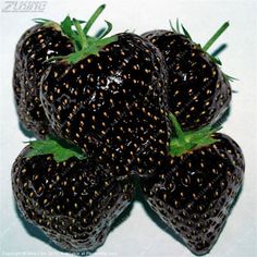 four black strawberries with brown spots on them